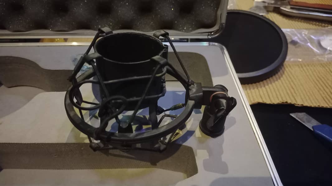 Behringer B1 Phantom Studio Microphone 4