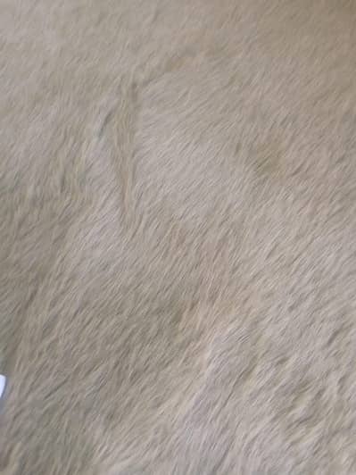 Furry soft rug