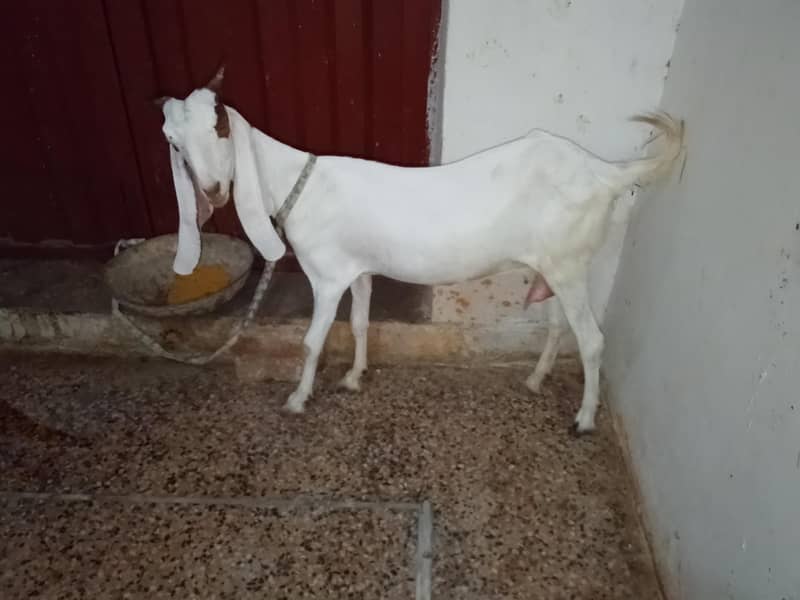 Read full add 0