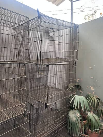 urgent sale heavy duty bird cages best price jaldi contact karein