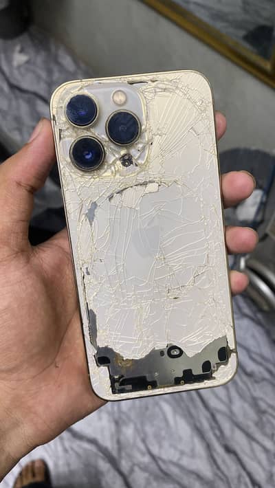 Apple iPhone 13 Pro