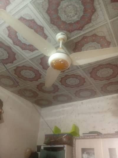 Khurshid fan no 03162755652