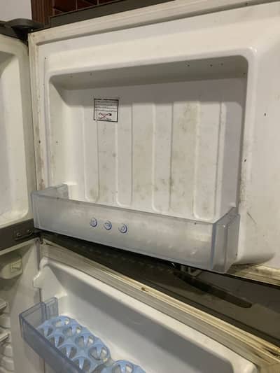 Hair Refrigerator For Sale