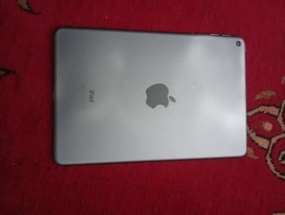 I pad mini 5