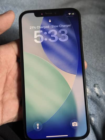 Apple iPhone 12 Pro