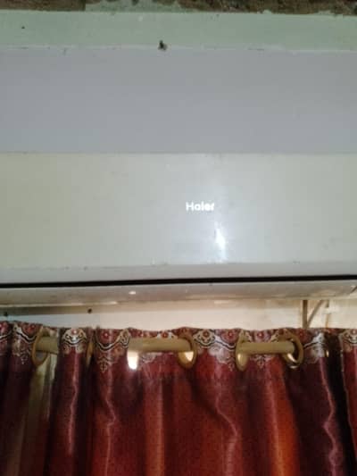 Haier