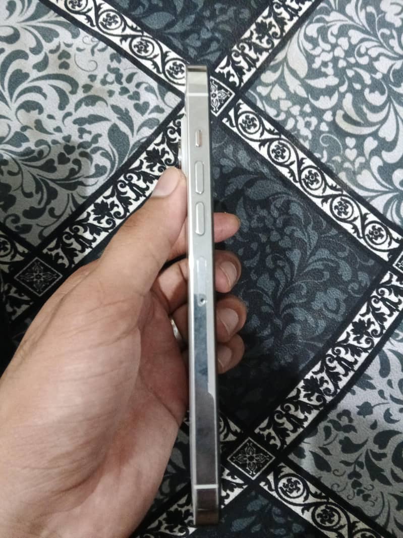 13 pro max 2
