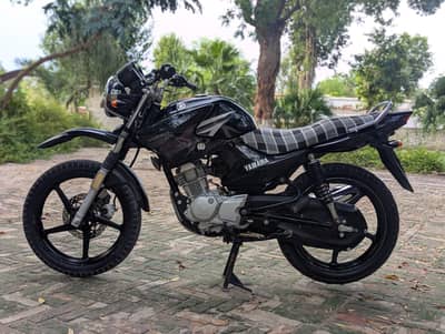 YAMAHA YBR G 03313939676