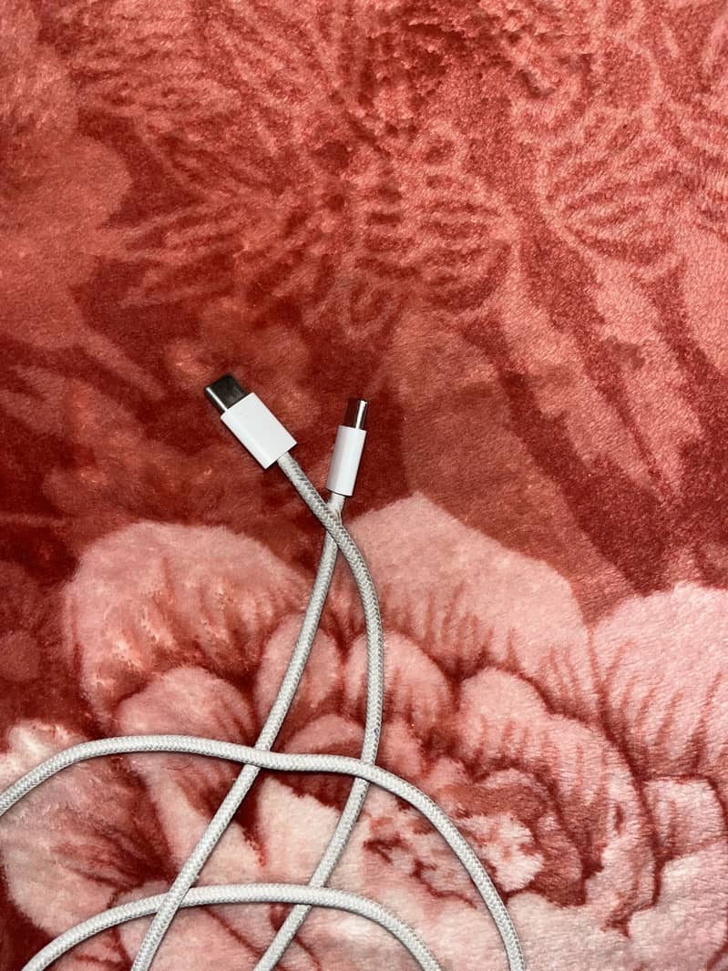 C To C Type cable 1