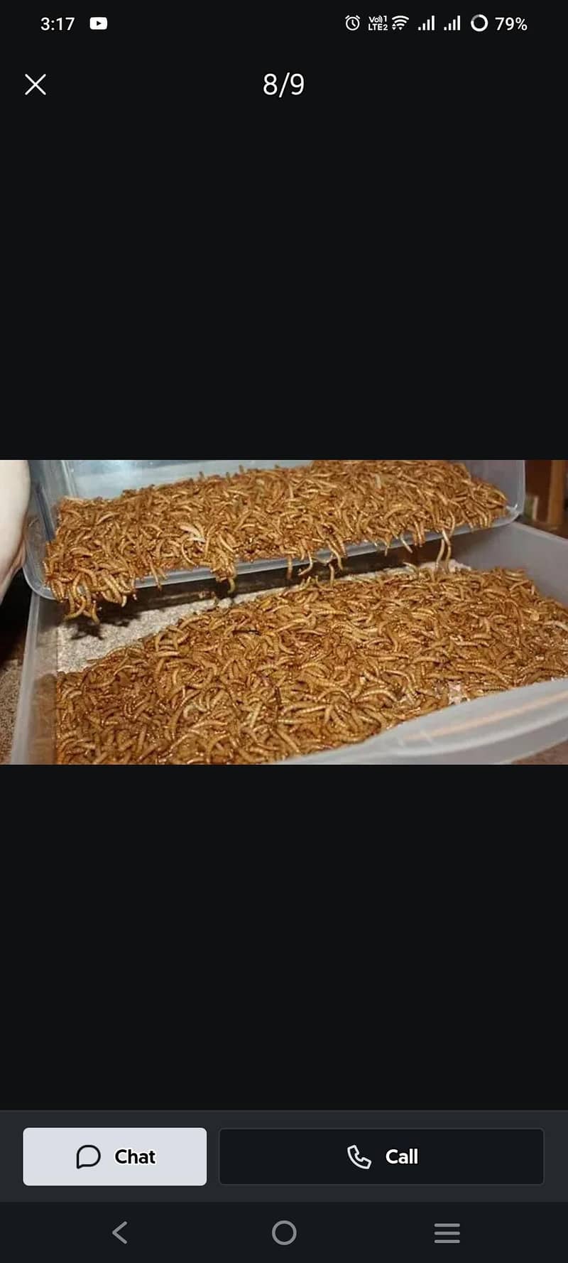 maleworms 1