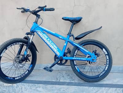 Bicystar 20"Mountain bike