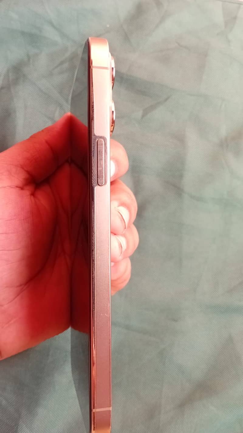 Apple iPhone 13 Pro Max 3