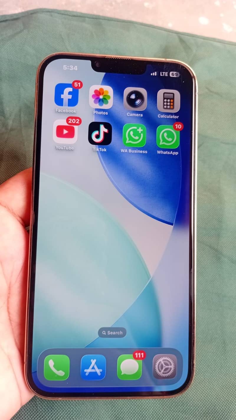 Apple iPhone 13 Pro Max 6