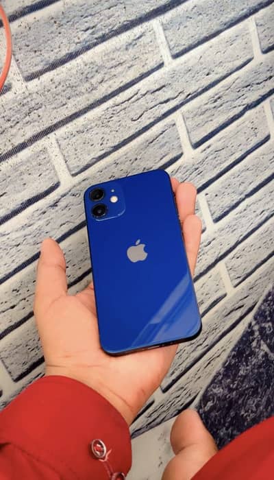 Apple iPhone 12 mini waterproof