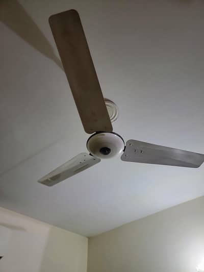 pak fan for sale