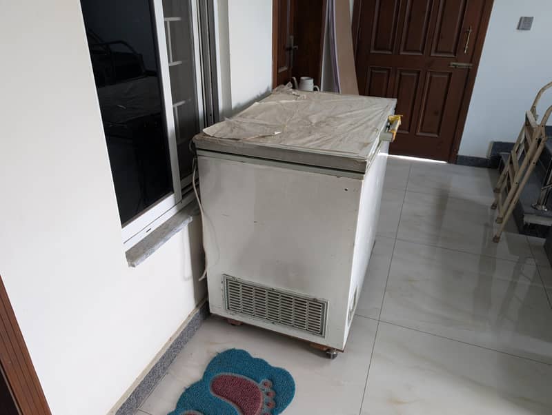 Waves Freezer 1