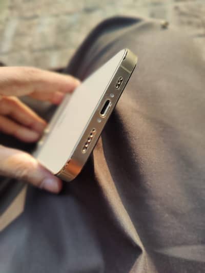 Apple iPhone 12 Pro