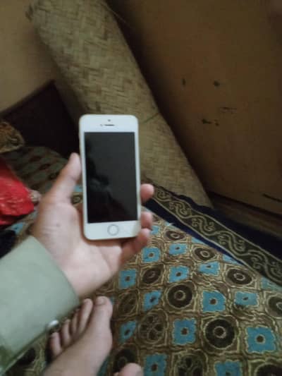 Apple iPhone 5s