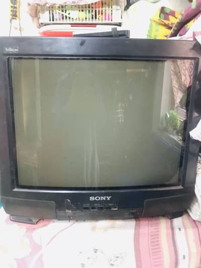 Sony company TV