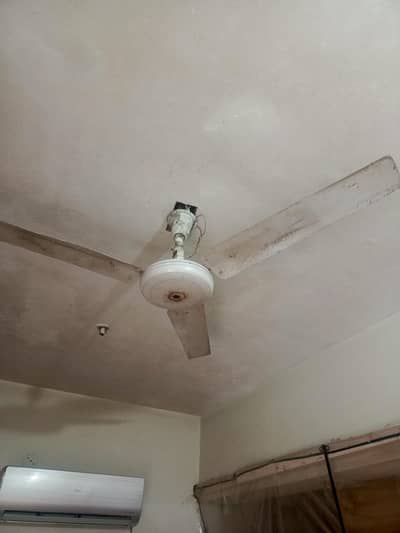 2 fans roof waly old hy but chalty hy for sale hy