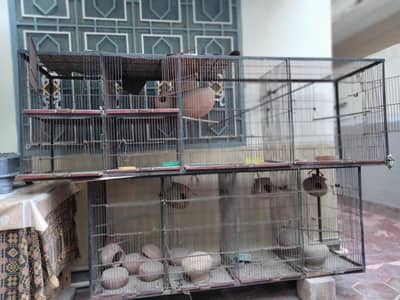 cage for sale