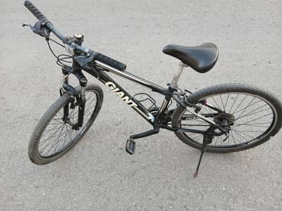 Giant Rock mountain bike