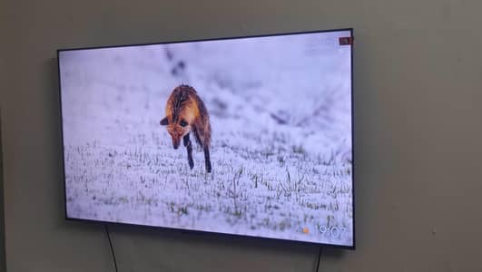 QLED 65 INCH Like a Brand New