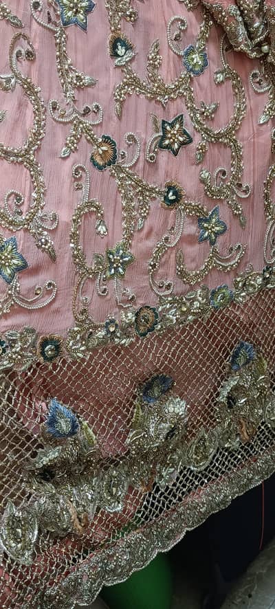 walima Maxi