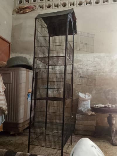 Piyush pinjra 10 by 10 condition