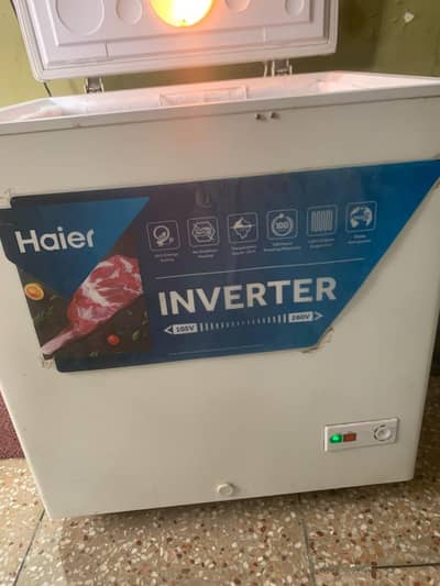 Haier D freezer