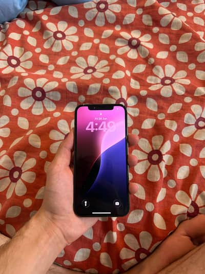 Apple iPhone 12 Pro
