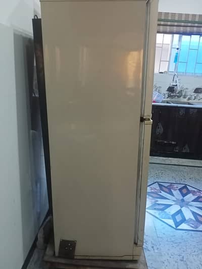 PEL Refrigerator for Sale