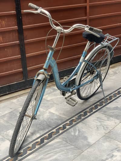 Gaint cycle
