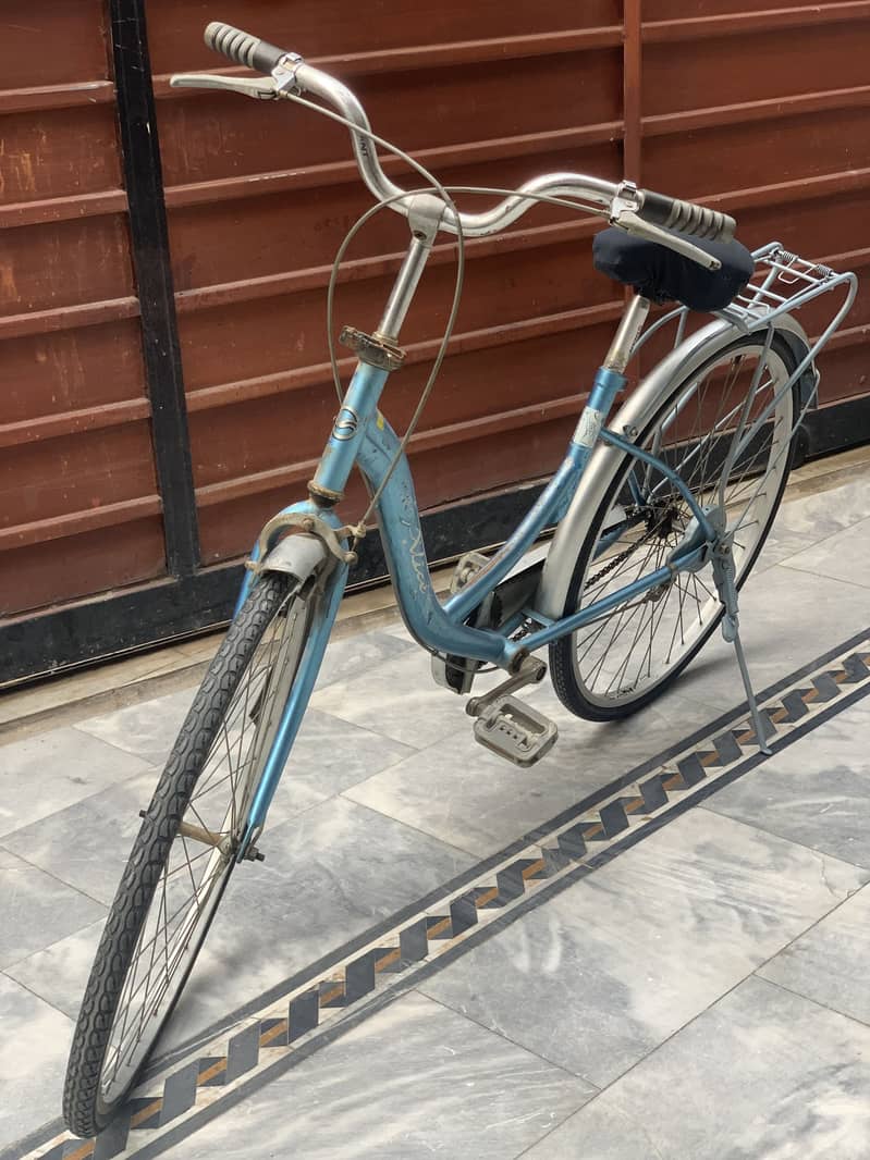 Gaint cycle 0