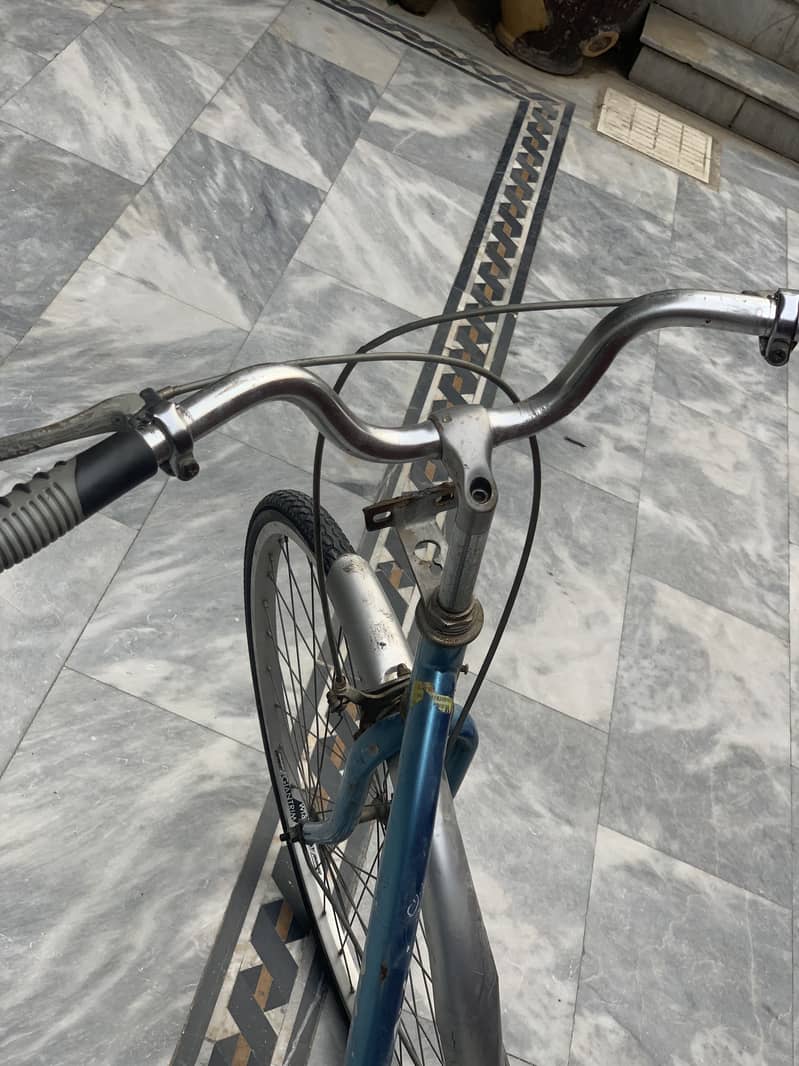 Gaint cycle 2