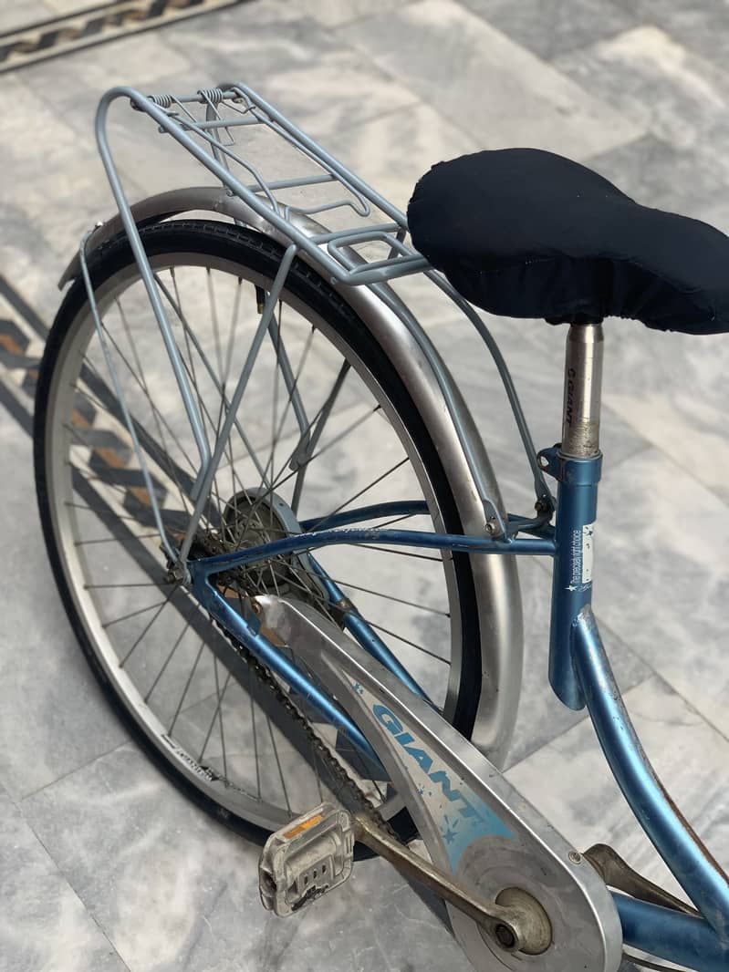 Gaint cycle 4