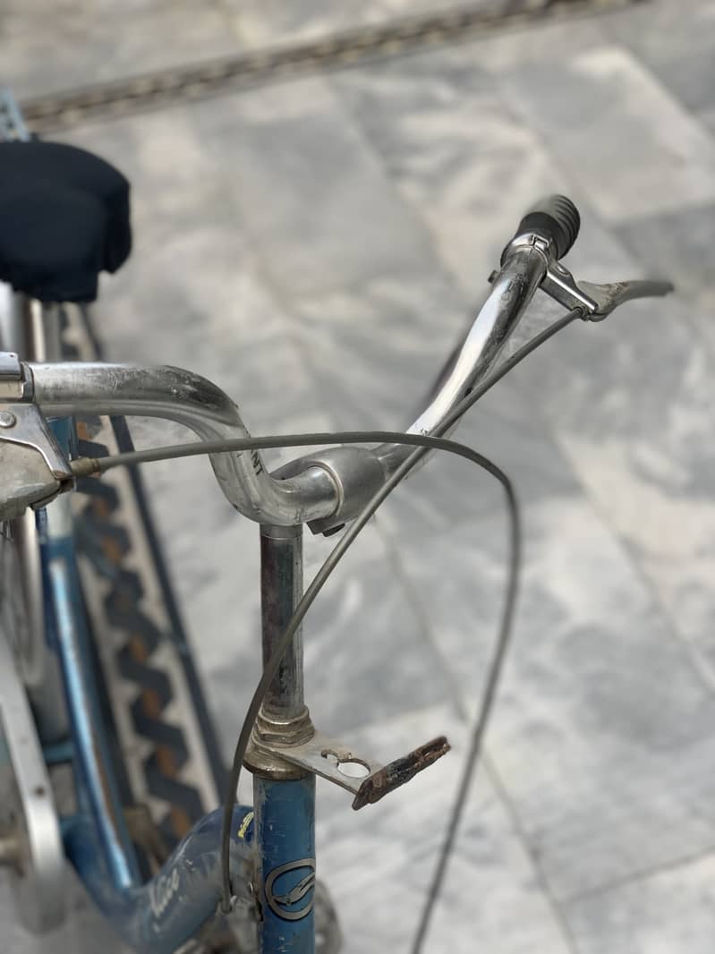 Gaint cycle 5