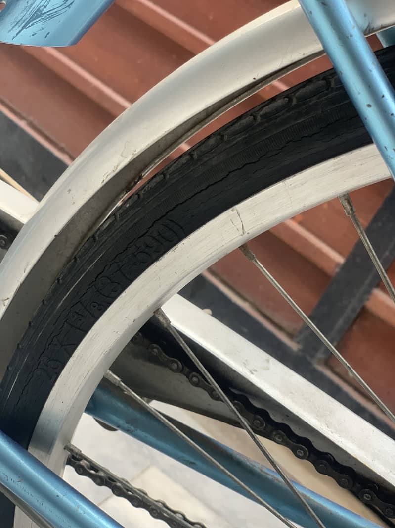 Gaint cycle 6