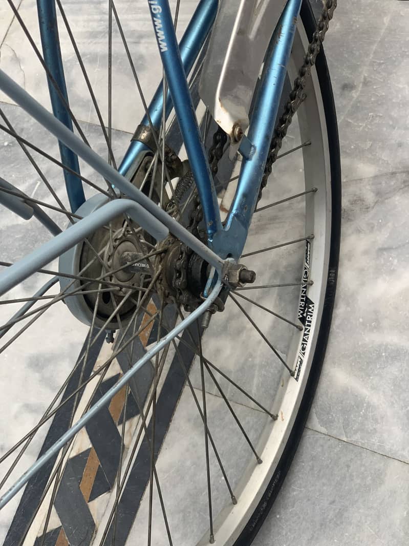 Gaint cycle 7