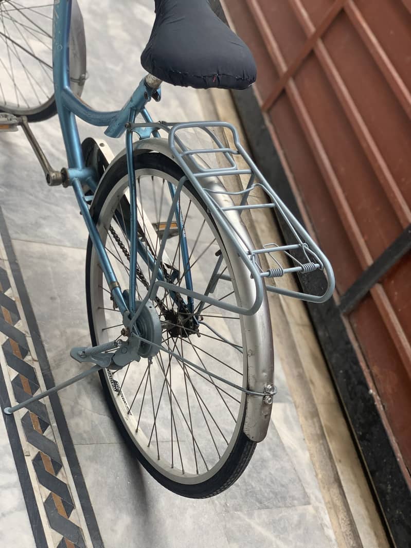 Gaint cycle 10