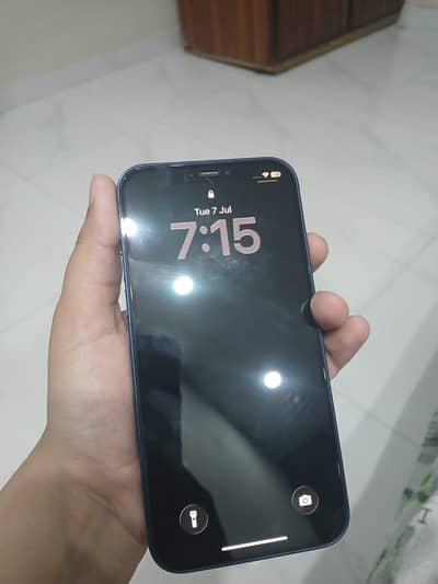 Apple iPhone 12