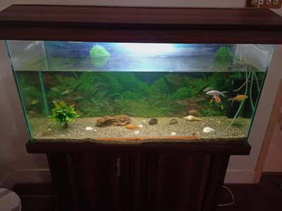 Aquarium