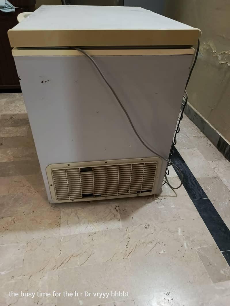 freezer 3