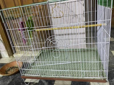 Pinjra