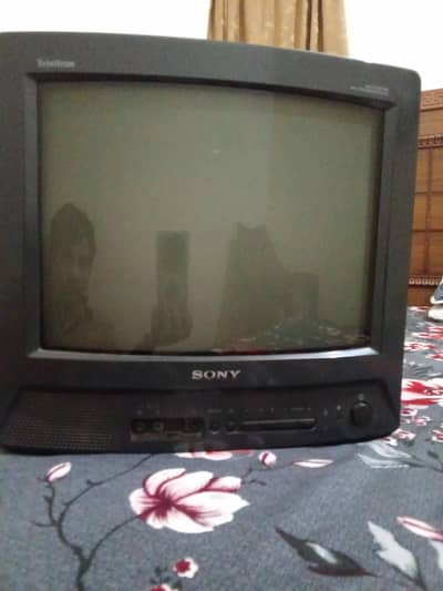 Sony tv