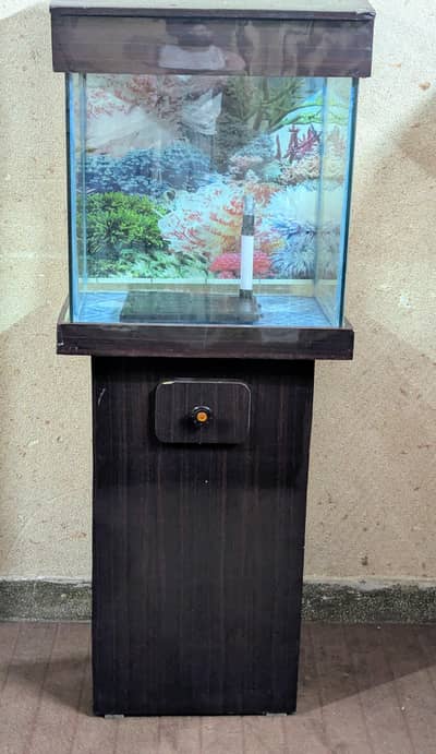 aquarium