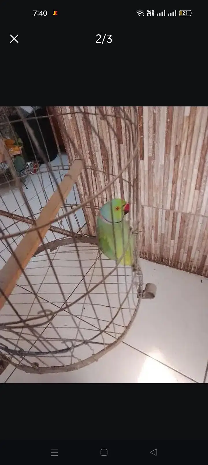 Arjant selna krna h cage bhey sat h