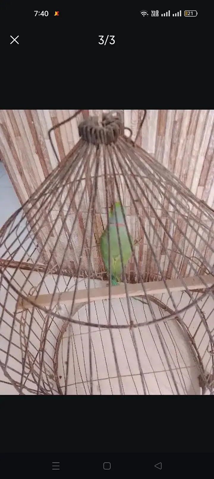 Arjant selna krna h cage bhey sat h — photo 3