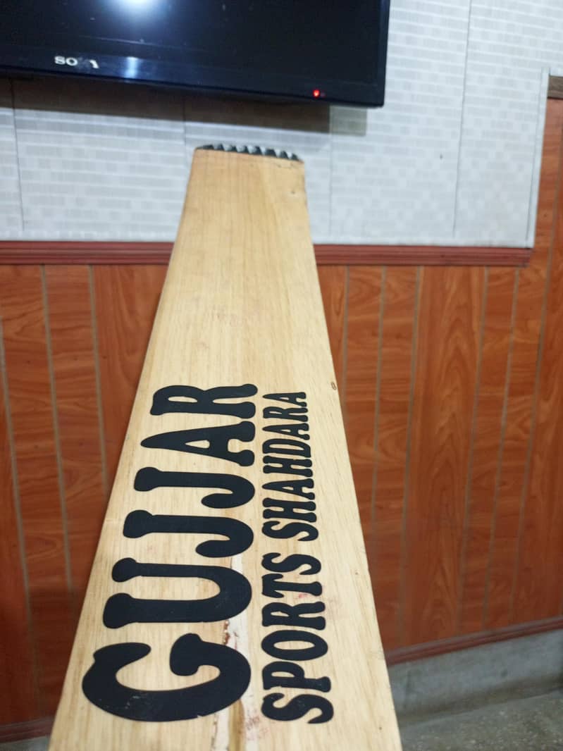 Cricket Bat 1