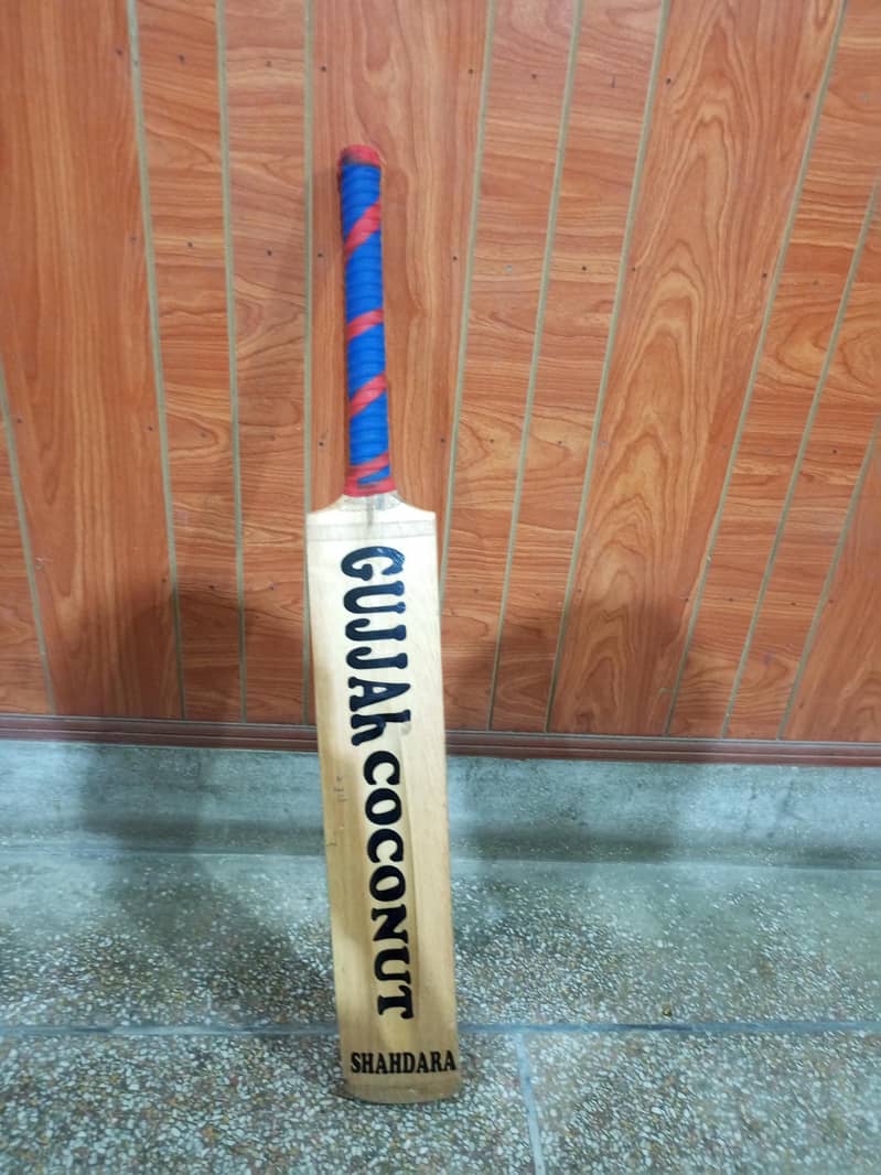 Cricket Bat 2